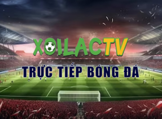 Xoilac-ttbd-Euro.wiki - Trang web trực tiếp bóng đá chất lượng cao